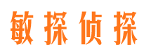 惠阳调查取证